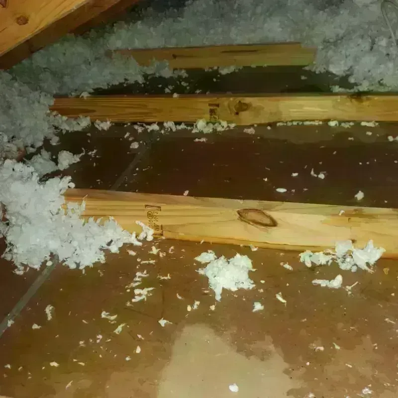 Attic Water Damage in Muskingum County, OH